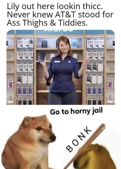 Go to horny jail : r/memes